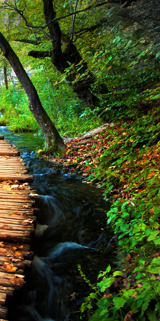 Building a life that fits